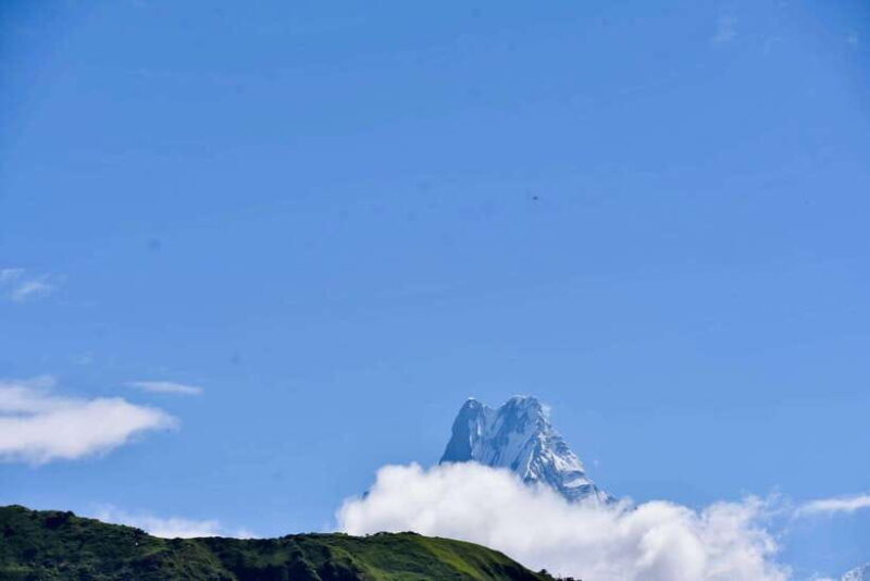 From Pokhara: 7-Day Annapurna Base Camp and Chitwan Tour - FAQ