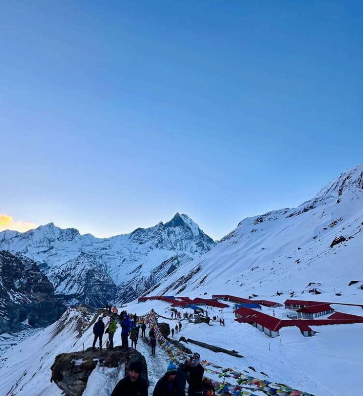 From Pokhara: 7-Day Annapurna Base Camp and Chitwan Tour - The Journey Begins: What to Expect on the Trek