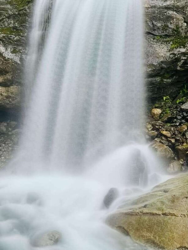 From Pokhara: 7-Day Annapurna Base Camp and Chitwan Tour - Who is This Tour Best For?