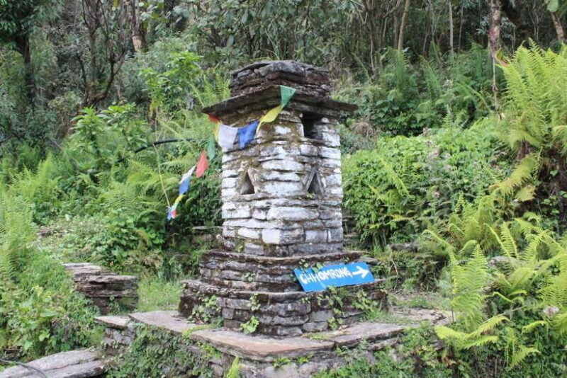 from Pokhara: 7-Day Annapurna Base Camp Trek - Final Thoughts: Is This Trek Right for You?