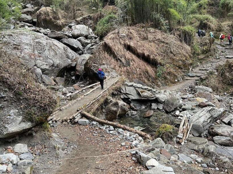 From Pokhara: 7-Day Annapurna Base Camp Trek - Value and Practicalities