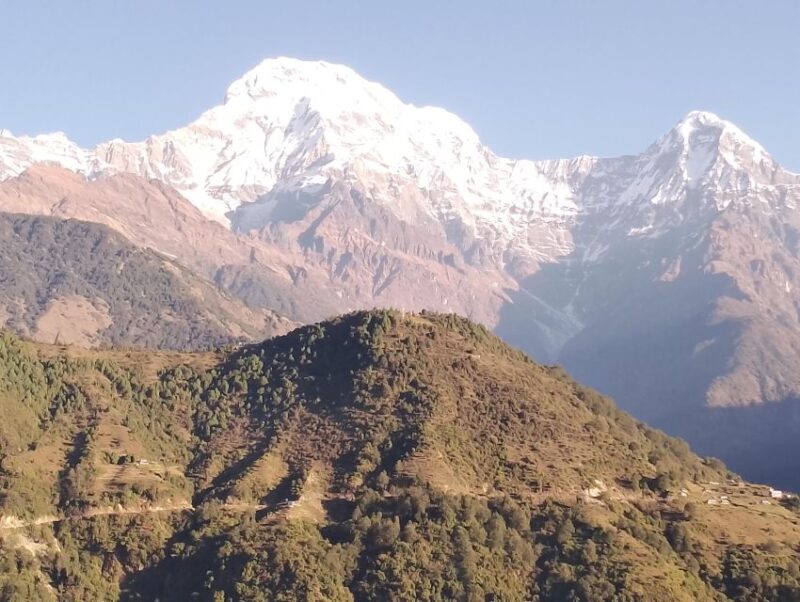 From Pokhara: 7 Days Budget Backpackers Group ABC Trek - Inclusions and Safety