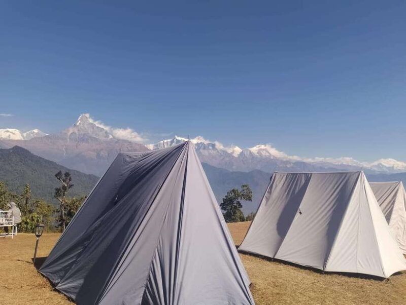 From Pokhara: A 7-Day Trek to the Heart of the Himalayas - Day 5: To Annapurna Base Camp