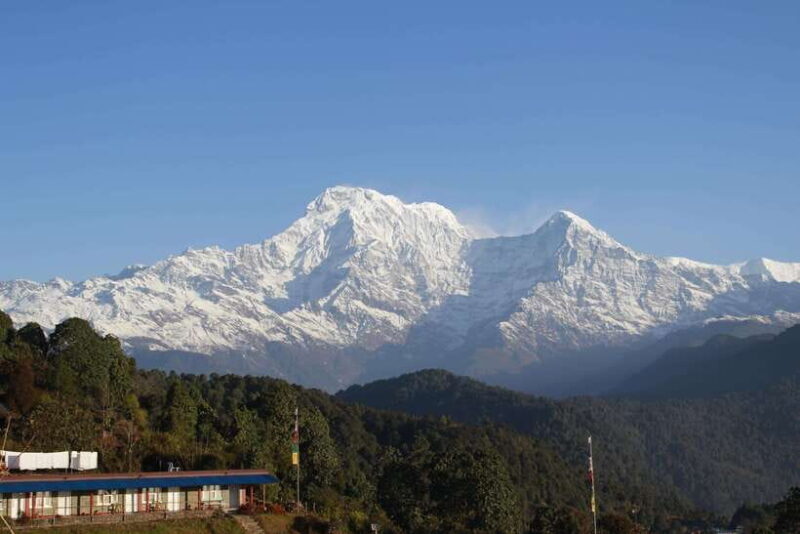 From Pokhara: Australian Camp and Dhampus Guided Day Hike - An Introduction to the Experience
