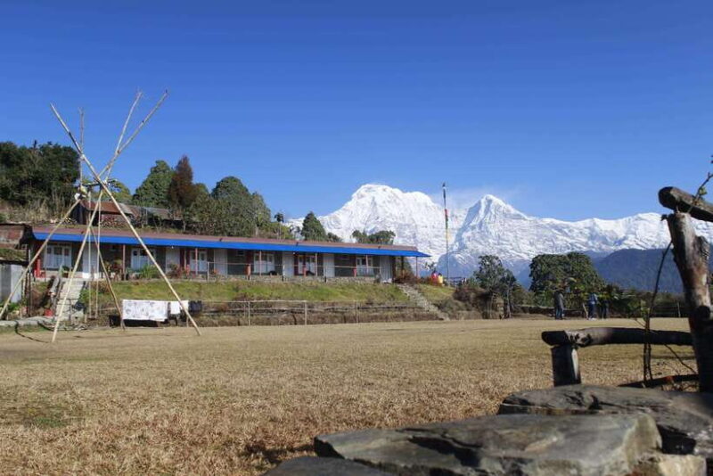 From Pokhara: Australian Camp and Dhampus Guided Day Hike - What The Guides and Reviews Say