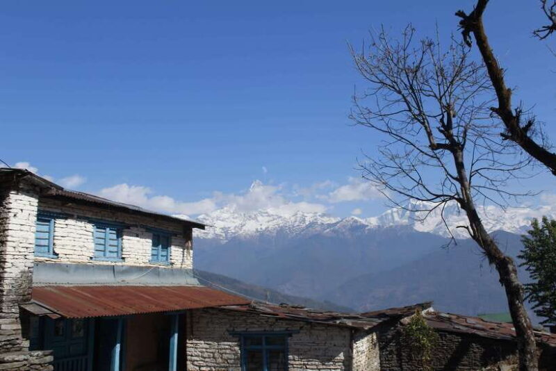 From Pokhara: Australian Camp and Dhampus Guided Day Hike - Who Will Love This Experience?