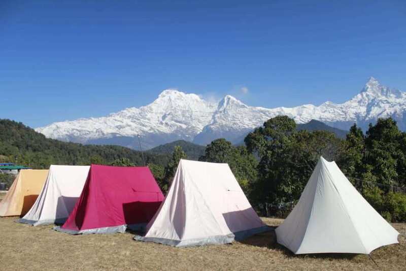 From Pokhara: Australian Camp and Dhampus Hiking Tour - Who Should Consider This Tour?