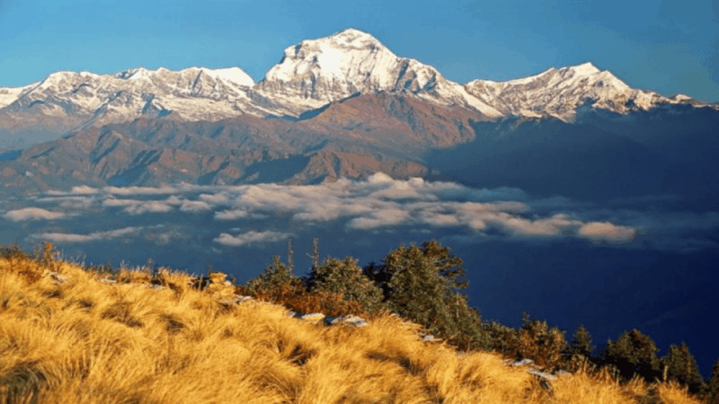 From Pokhara : Budget 3 Days Ghorepani & Poon Hill Trek - Best Trekking Seasons
