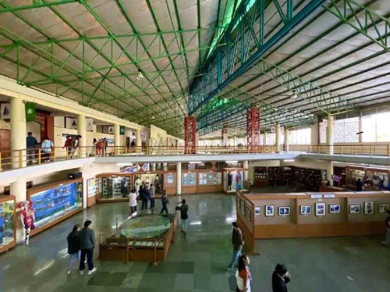 From Pokhara: Guided Visit To 4-Museum Tour - Itinerary and Transportation