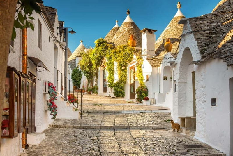 From Polignano a Mare: Alberobello Guided Tour - Key Points