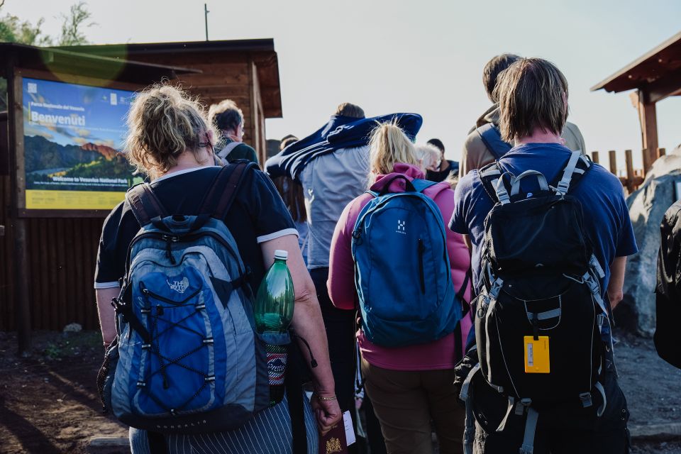 From Pompeii: Mount Vesuvius Guided Tour With Transfer - Accessibility and Restrictions