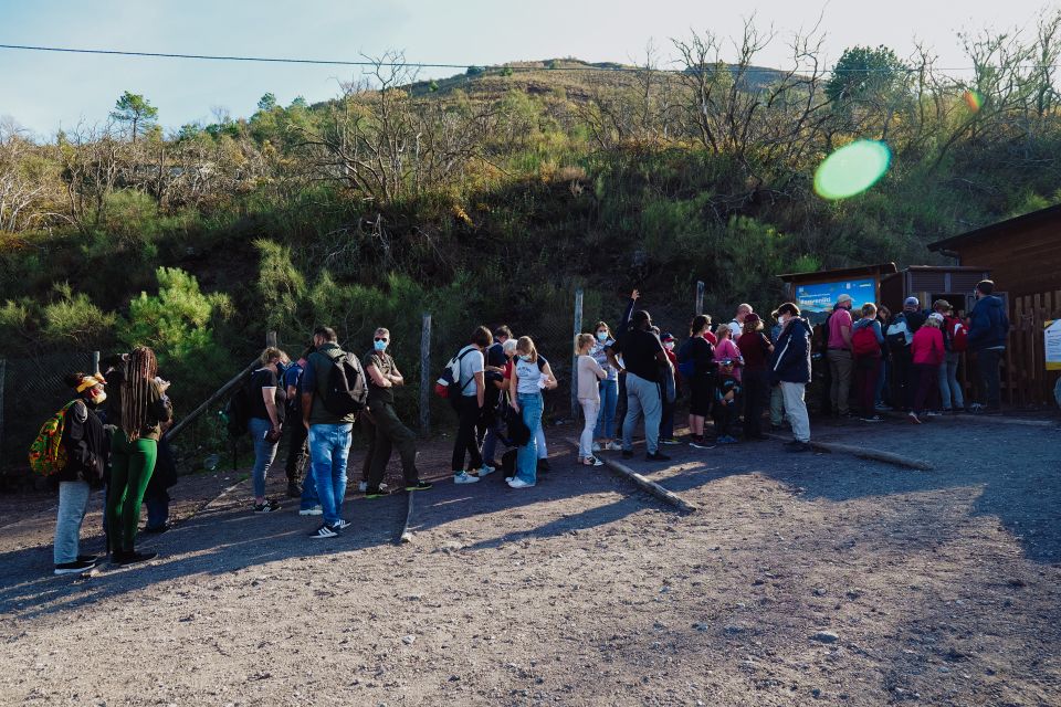 From Pompeii: Mount Vesuvius Guided Tour With Transfer - Booking Process and Tips