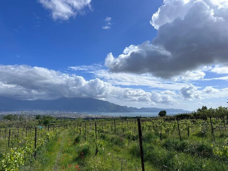 From Pompeii: Mount Vesuvius Horseback Riding Tour - Exploring the Vesuvius Region on Horseback