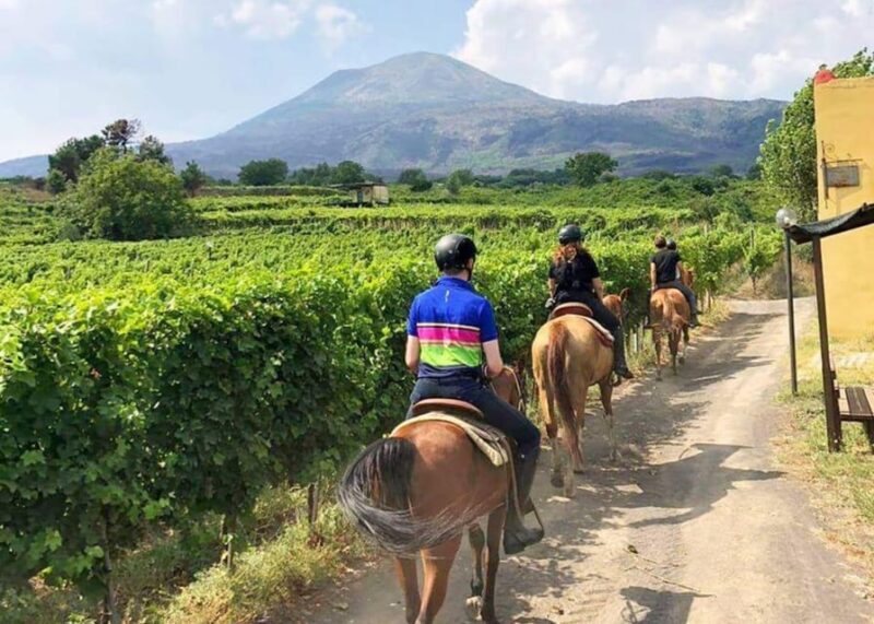 From Pompeii: Mount Vesuvius Horseback Riding Tour - The Cultural and Natural Context