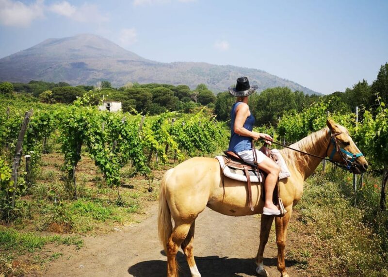 From Pompeii: Mount Vesuvius Horseback Riding Tour - Who Should Consider This Tour?