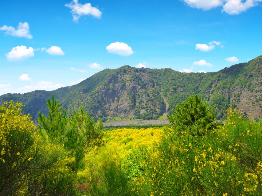 From Pompeii: Mt. Vesuvius Hike & Tour by Bus - What to Expect