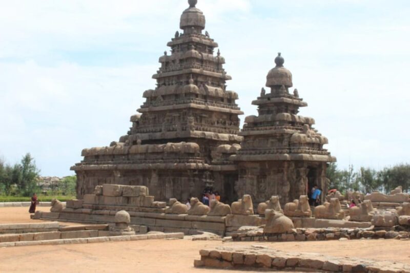 From Pondicherry: Day Tour to Mahabalipuram and Kanchipuram - Included Services