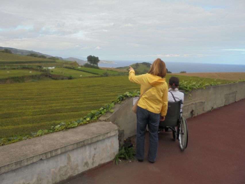 From Ponta Delgada: Furnas Wheelchair Accessible Van Tour - Tour Highlights