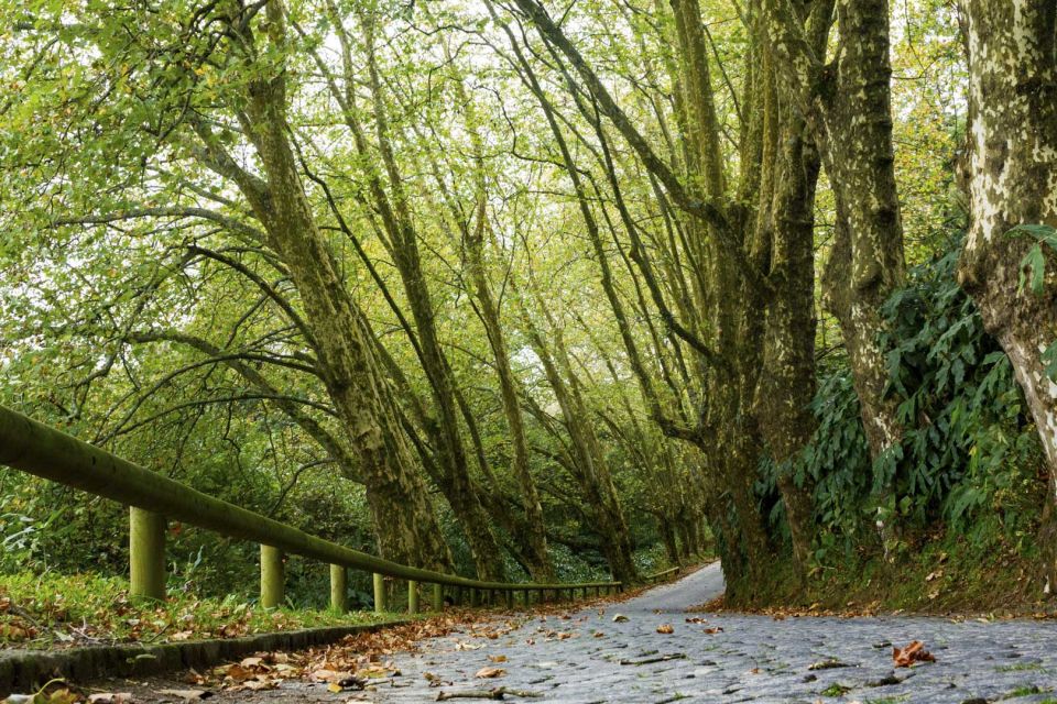 From Ponta Delgada: Guided Walking Tour to Salto Do Cabrito - Itinerary Details