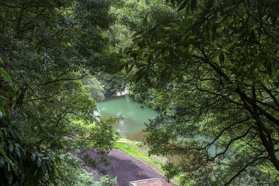 From Ponta Delgada: Guided Walking Tour to Salto Do Cabrito - Historical Sites Visited