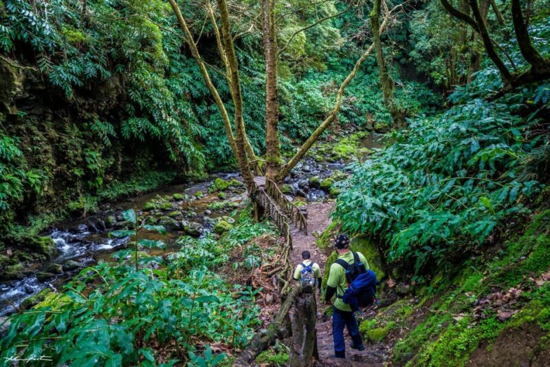 From Ponta Delgada: Hiking Moinho do Félix - Who Will Love This Tour?