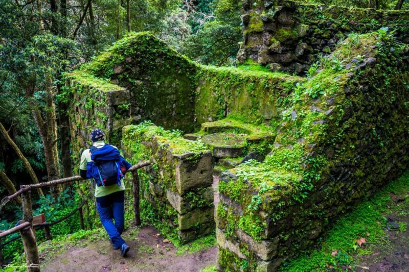 From Ponta Delgada: Hiking Moinho do Félix - Final Thoughts
