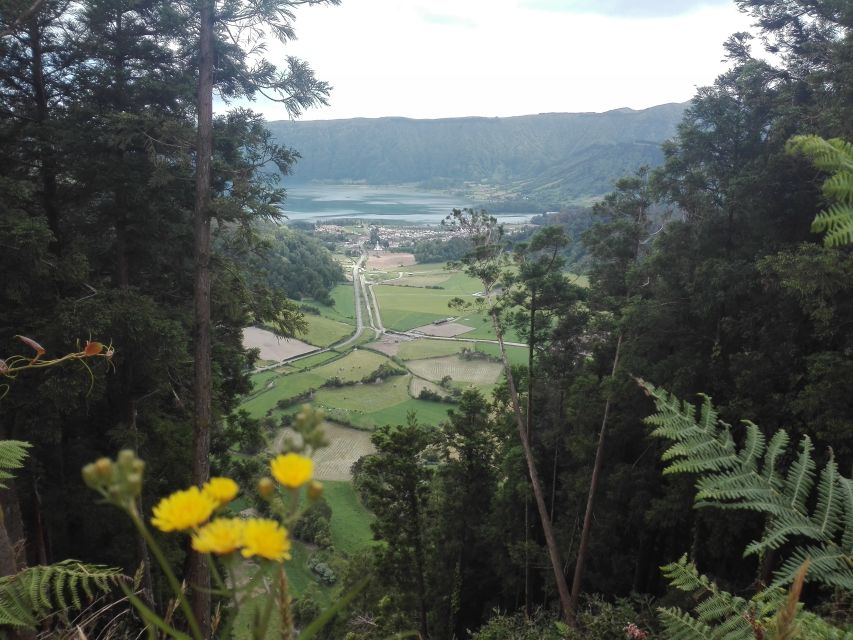 From Ponta Delgada: Sete Cidades Walk, Tasting and Kayaking - Highlights of the Tour