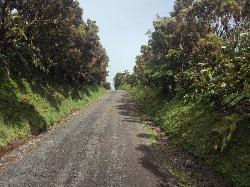 From Ponta Delgada: Sete Cidades Walk, Tasting and Kayaking - Accommodation Pickup and Drop-off