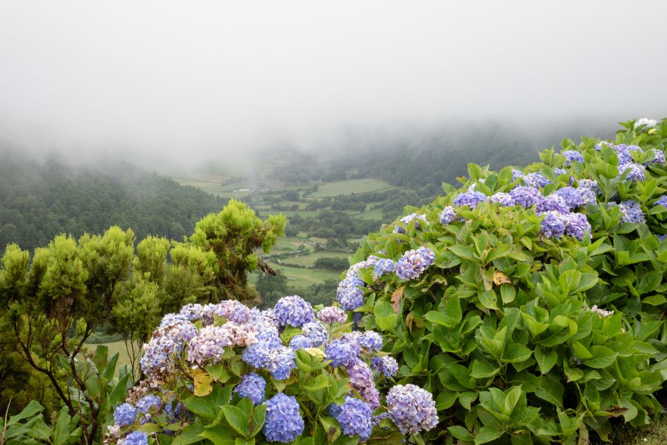 From Ponta Delgada: Vista Do Rei to Sete Cidades Guided Trek - Experience Highlights