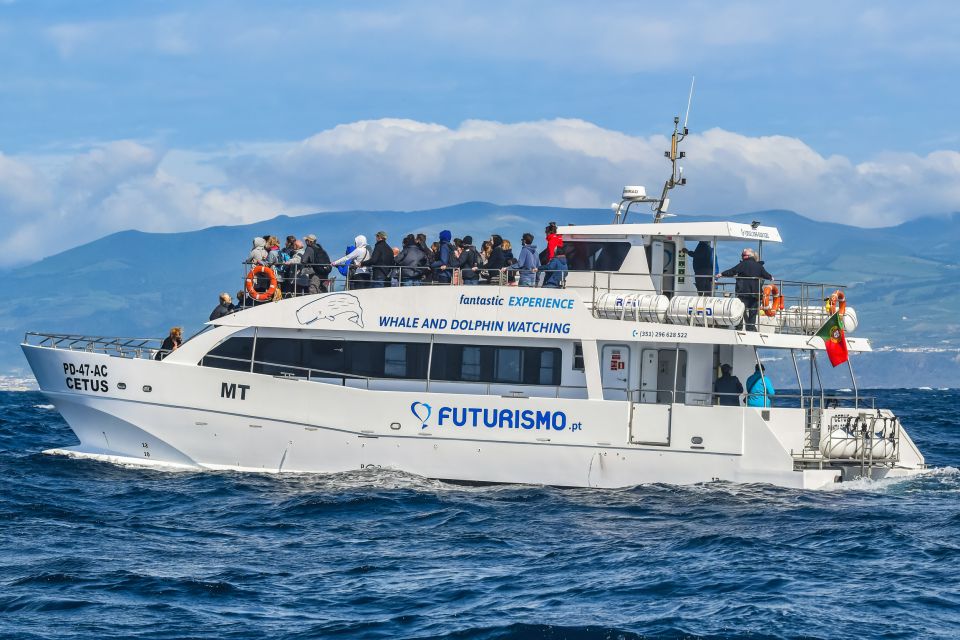 From Ponta Delgada: Whale and Dolphin Watching Trip - Meeting Point and Directions