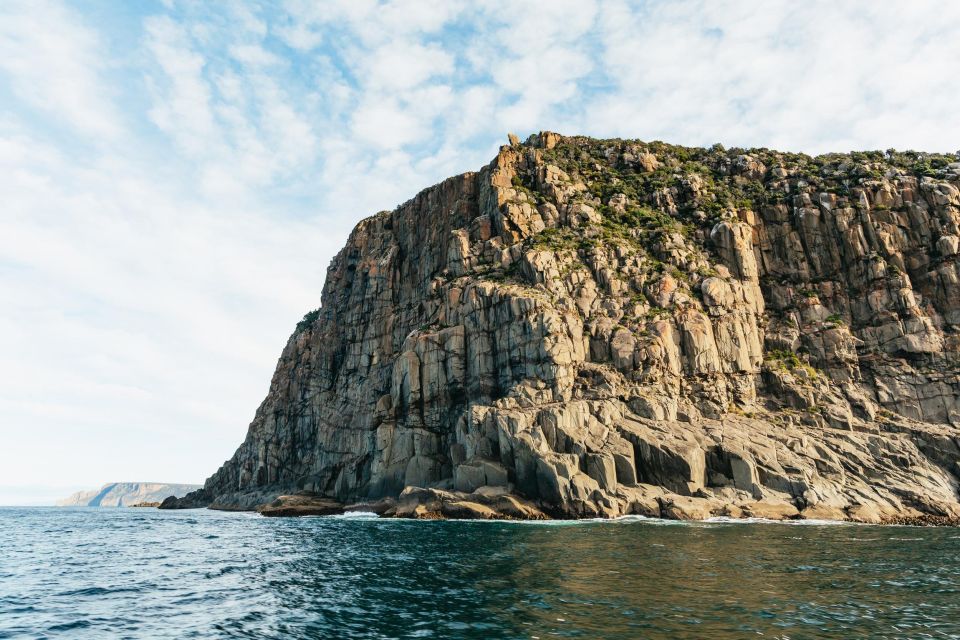 From Port Arthur: Tasman Island Wilderness Cruise - Cruise Highlights
