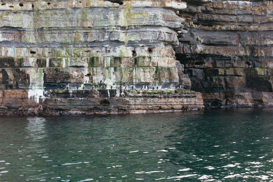 From Port Arthur: Tasman Island Wilderness Cruise - Inclusions and Meeting Point
