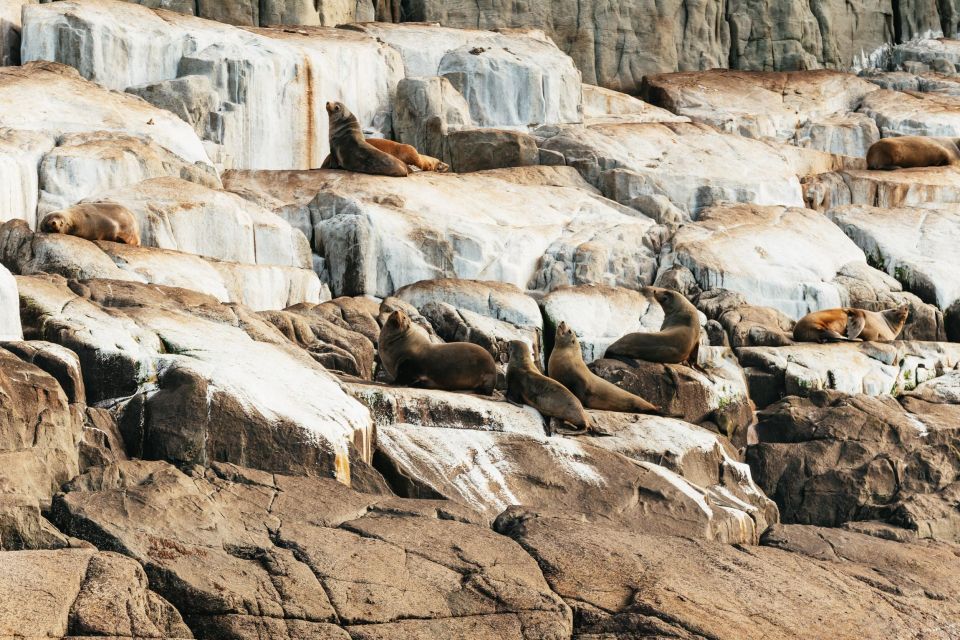 From Port Arthur: Tasman Island Wilderness Cruise - Customer Reviews