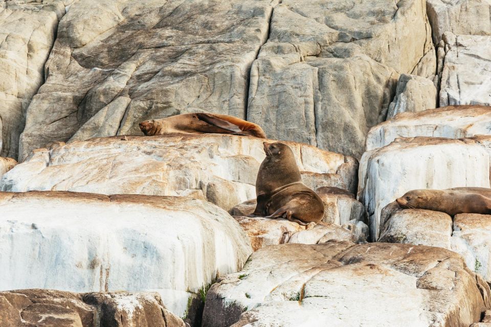 From Port Arthur: Tasman Island Wilderness Cruise - Booking and Transportation