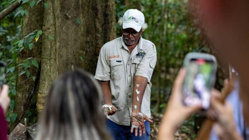 From Port Douglas: Daintree Rainforest & Mossman Gorge Tour - Key Points