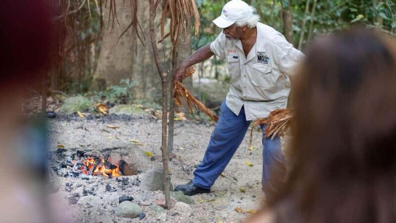 From Port Douglas: Daintree Rainforest & Mossman Gorge Tour - Starting the Day: Scenic Pickup & Mossman Gorge