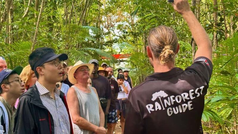 From Port Douglas: Daintree Rainforest & Mossman Gorge Tour - Lunch & the Meeting of Land and Sea