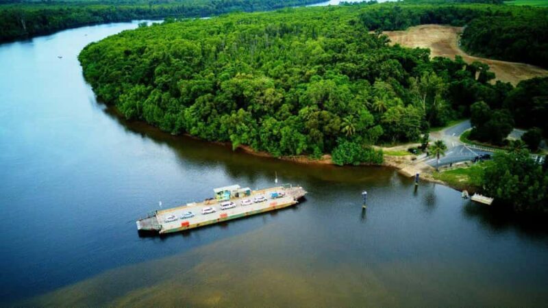 From Port Douglas: Daintree Rainforest & Mossman Gorge Tour - Daintree Ice Cream & Scenic Crossing