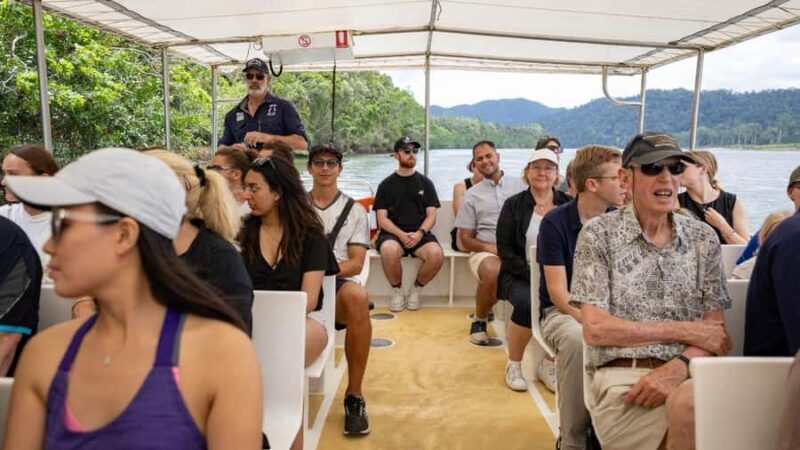 From Port Douglas: Daintree Rainforest & Mossman Gorge Tour - Practical Tips for Future Travelers