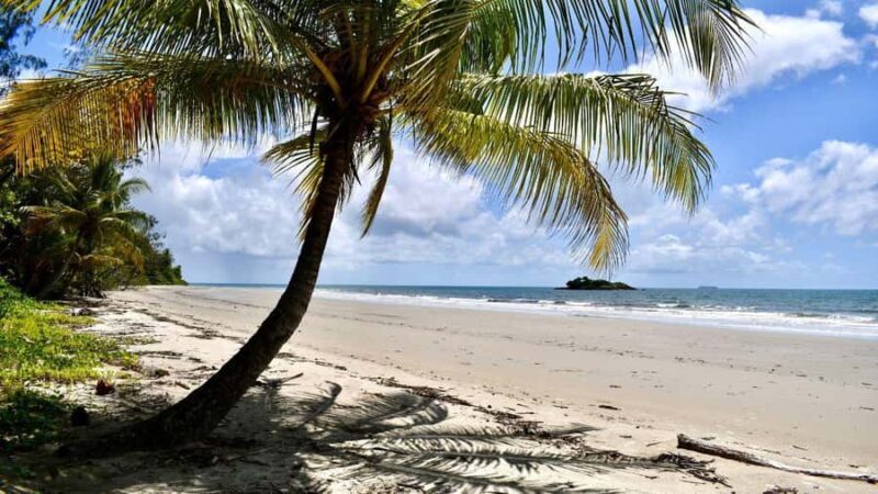 From Port Douglas: Daintree Rainforest & Mossman Gorge Tour - Who Should Consider This Tour?