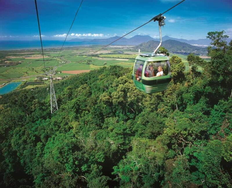 From Port Douglas: Hartley's Crocodile Park, Skyrail & Train - An In-Depth Look at the Tour Experience