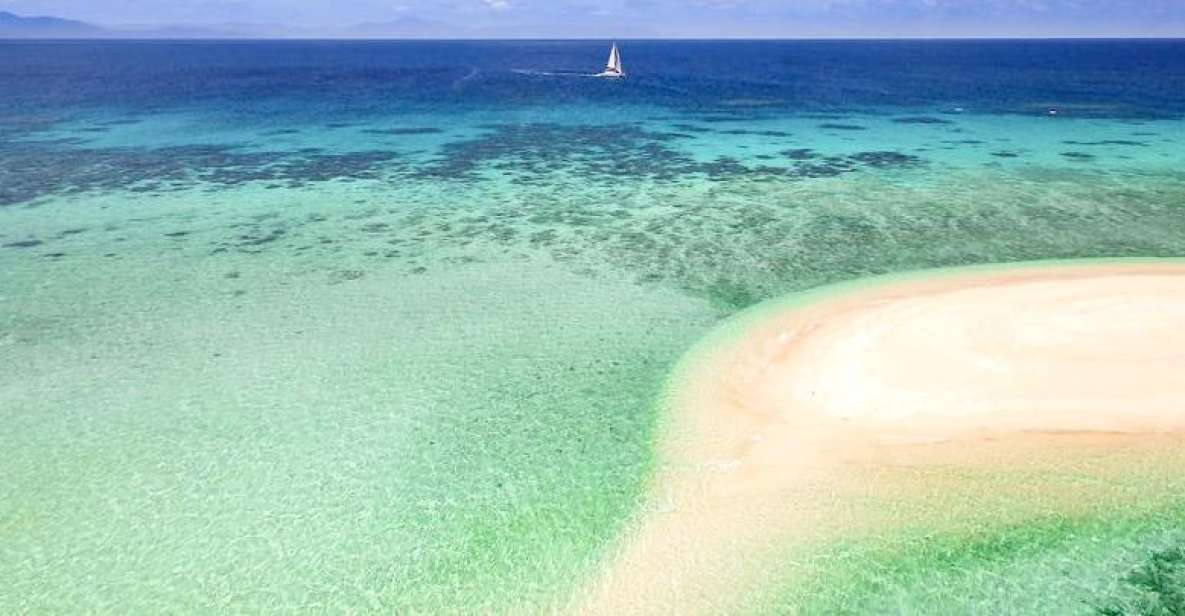 From Port Douglas: Outer Reef Cruise by Luxury Catamaran - Key Points