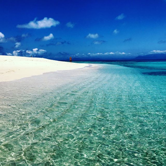From Port Douglas: Outer Reef Cruise by Luxury Catamaran - Booking