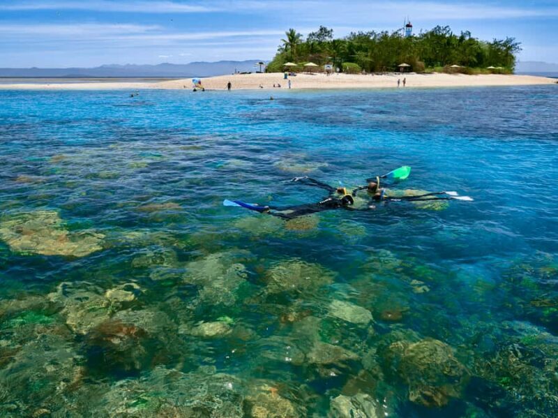 From Port Douglas: Sail to Low Isles Great Barrier Reef - Key Points