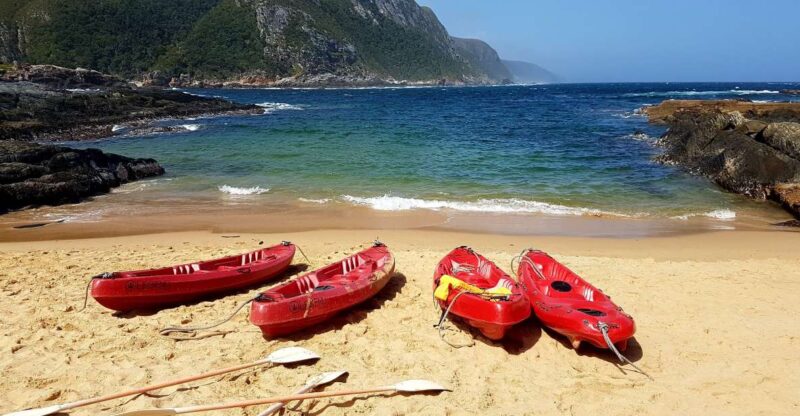 From Port Elizabeth: 5-Day Garden Route Tour to Cape Town - Itinerary Highlights