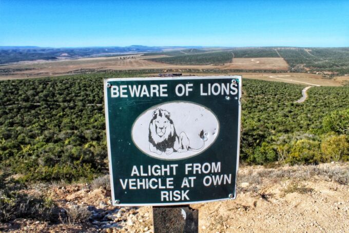 From Port Elizabeth: 5-Day Garden Route Tour to Cape Town - Exploring Jeffreys Bay