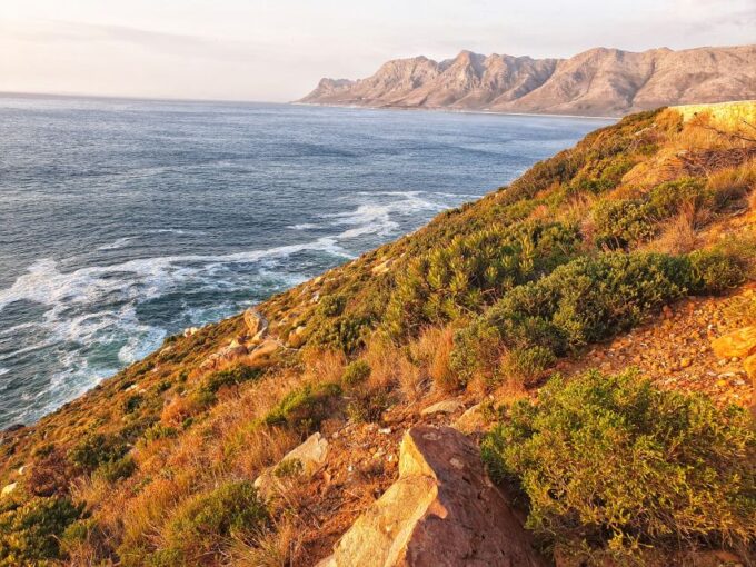 From Port Elizabeth: 5-Day Garden Route Tour to Cape Town - Reaching the Southernmost Tip