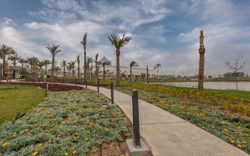 From Port Said: Tour To National Museum, Citadel & Bazaar - Inclusions and Benefits