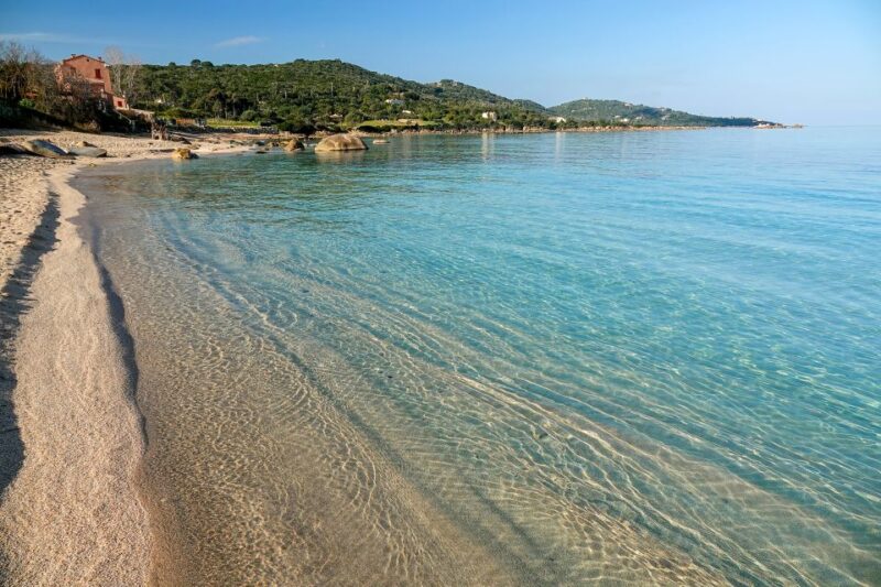 From Porticcio: Speedboat Tour to Cupabia Beach With Stops - Key Points