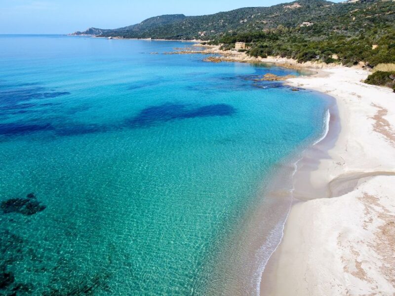 From Porticcio: Speedboat Tour to Cupabia Beach With Stops - Highlights of the Experience